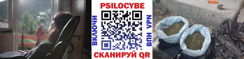 блэк спрут tor  хочу   Холм  Псилоцибиновые грибы прущие грибы 